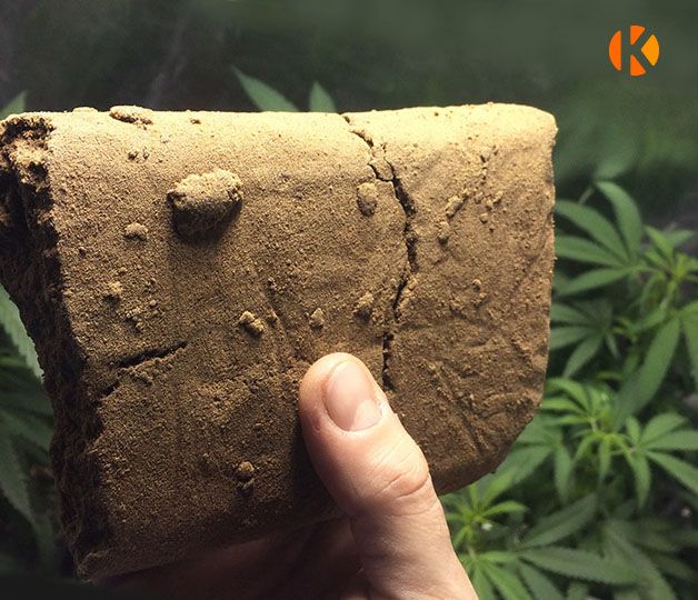 Кусок гашиша в руке